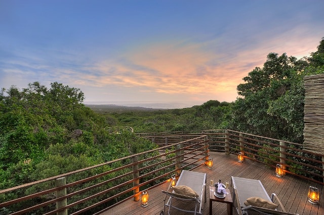 Views of deck at garden lodge, Grootbos Private Nature Reserve