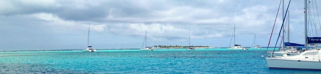 Swimming with turtles in the Tobago Cays