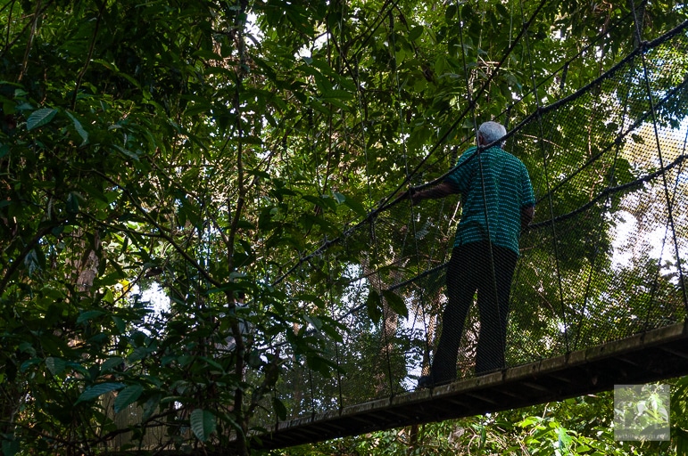 Heading up to the canopy walk - Kinabalu National Park