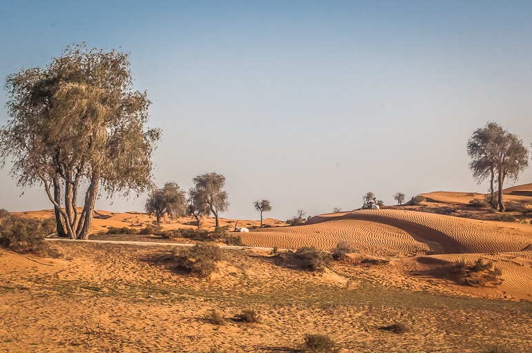 The Ras Al Khaimah desert, UAE