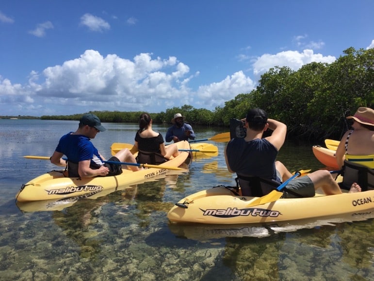 Things to do in Antigua include kayaking in the mangroves