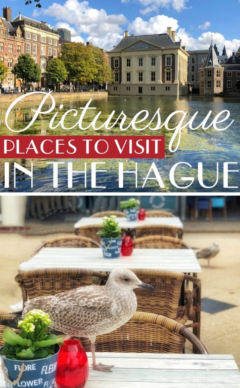 Picturesque places to visit in The Hague