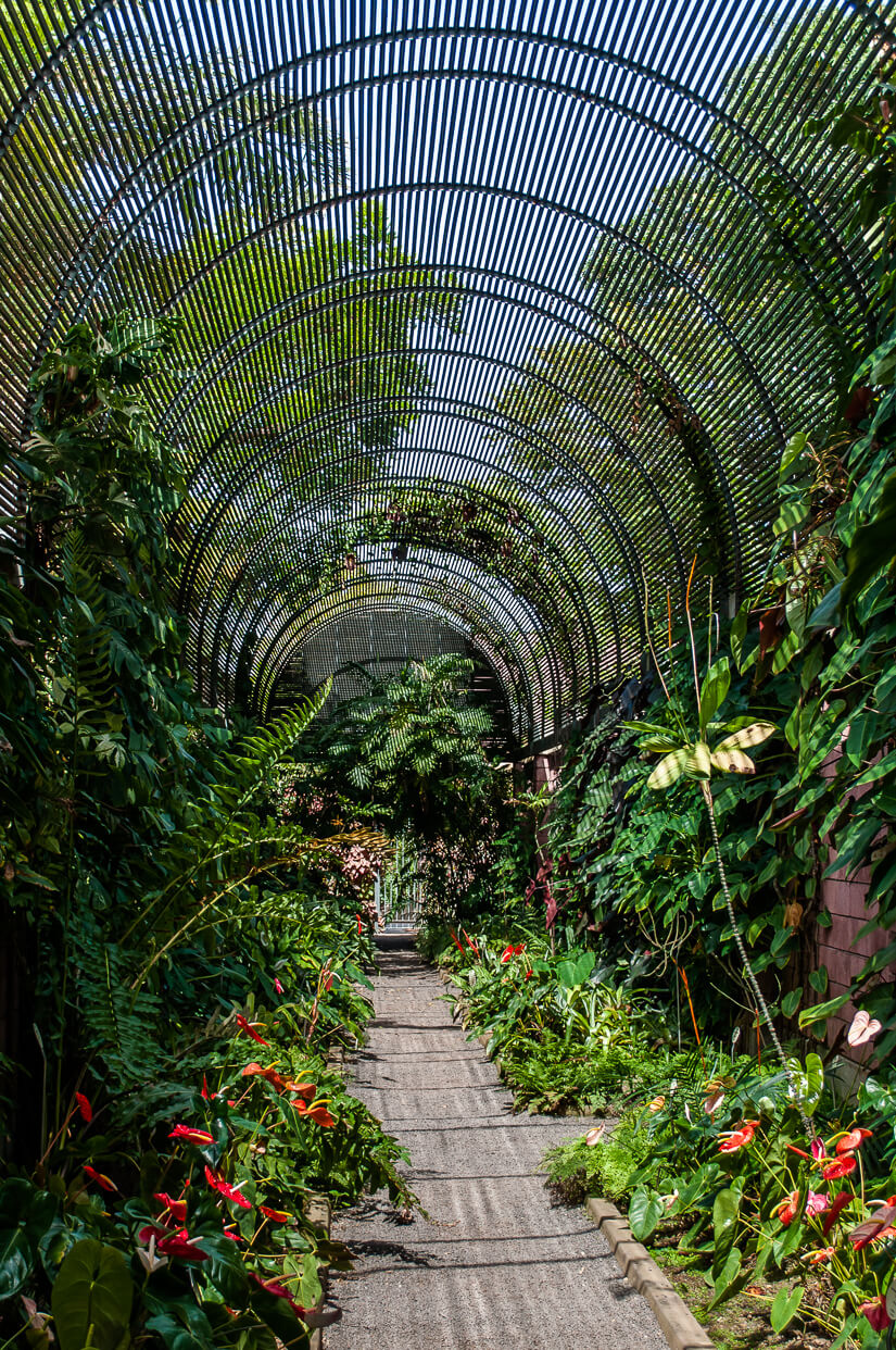 Archway at Tenerife's Botanical Gardens