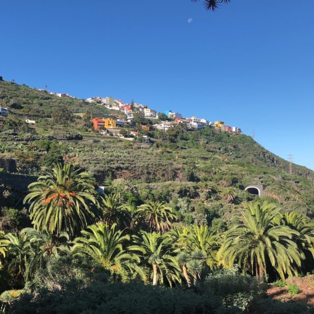 What to do in Tenerife - a view of Icod de los Vinos, in northern Tenerife