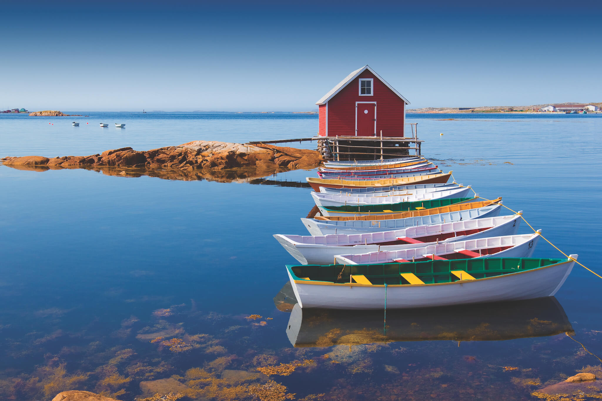 Newfoundland travel guide things to do in Canada's most unique province