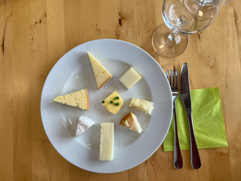 Cheese and wine tasting at the Hofmolkerei Tax dairy farm